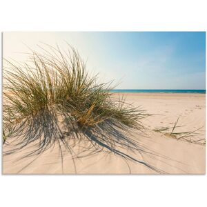 Artland Wandbild »Strandgras«, Küste, (1 St.), als Alubild, Outdoorbild,... naturfarben Größe