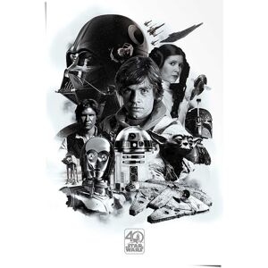 Reinders! Poster »Poster Star Wars 40 Jahre«, Science-Fiction, (1 St.) schwarz Größe