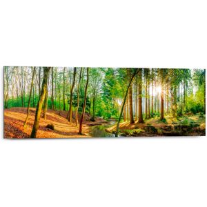 Reinders! Deco-Panel »Sonniger Wald« grün Größe