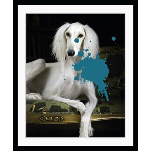 queence Bild »3.0«, Hunde, gerahmt, Hund, Farbklecks, Pudel weiss-blau Größe