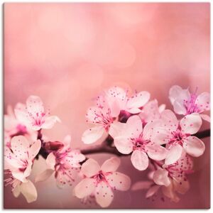 Artland Wandbild »Kirschblüten«, Blumen, (1 St.), als Alubild, Outdoorbild,... pink Größe