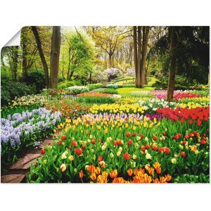 Artland Wandbild »Tulpen Garten Frühling«, Blumenwiese, (1 St.), als Alubild,... bunt Größe