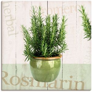 Artland Wandbild »Rosmarin«, Pflanzen, (1 St.), als Alubild, Outdoorbild,... grün Größe