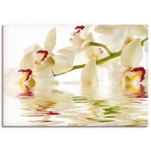 Artland Wandbild »Weisse Orchidee mit Wasserreflektion«, Blumen, (1 St.), als... weiss Größe