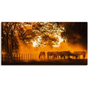 Artland Wandbild »Goldenes Licht auf der Pferdewiese«, Haustiere, (1 St.),... orange Größe