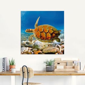 Artland Glasbild »Schildkröte«, Wassertiere, (1 St.), in verschiedenen Grössen blau Größe