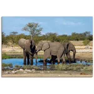 Artland Wandbild »Afrikanischer Elefant EtoshaNationalpark«, Elefanten... bunt Größe