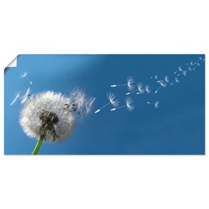 Artland Wandbild »Pusteblume«, Blumen, (1 St.), als Alubild, Outdoorbild,... blau Größe