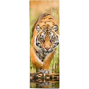 Reinders! Poster »Tiger im Anflug« orange Größe