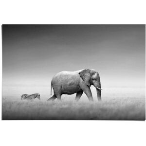 Reinders! Poster »Könige der Natur Elefant«, (1 St.) schwarz Größe