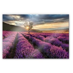 Wall-Art Küchenrückwand »Lavendel Blumen in der Provence«, (1 tlg.), Herd... bunt Größe
