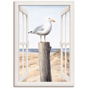 Artland Wandbild »Möwe Fensterblick«, Vogelbilder, (1 St.), als Alubild,... weiss Größe