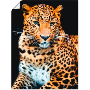 Artland Wandbild »Wütender wilder Leopard«, Wildtiere, (1 St.), als Alubild,... schwarz Größe