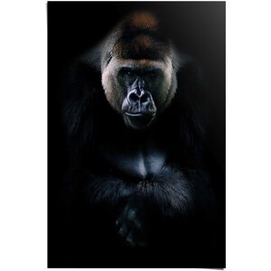 Reinders! Poster »Gorilla Gorilla«, (1 St.) schwarz Größe