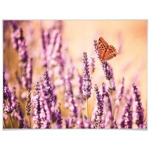 Wall-Art Poster »Schmetterling Lavendel«, Schmetterlinge, (Set, 1 St.),... bunt Größe