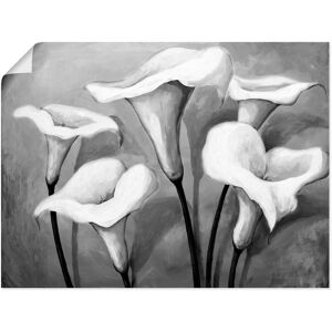 Artland Wandbild »Callas II«, Blumen, (1 St.), als Leinwandbild, Poster in... schwarz Größe