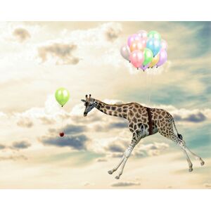 queence Acrylglasbild »fliegende Giraffe« bunt Größe