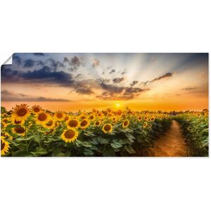 Artland Wandbild »Sonnenblumenfeld bei Sonnenuntergang«, Blumenbilder, (1... gelb Größe