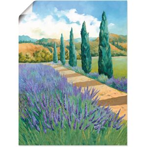 Artland Poster »Weg durchs Lavendelfeld«, Felder, (1 St.), als Alubild,... blau Größe