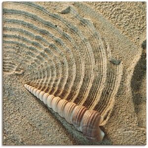 Artland Wandbild »Zen IV - Muschel im Sand«, Zen, (1 St.), als Alubild,... naturfarben Größe