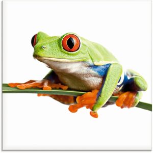 Artland Glasbild »Frosch auf einem Blatt«, Wassertiere, (1 St.), in... weiss Größe