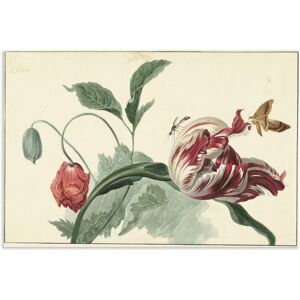 Artland Wandbild »Tulpe und Mohn.«, Blumenbilder, (1 St.), als Alubild,... grün Größe