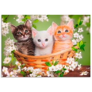 Artland Wandbild »Katzen sitzen in einem Korb«, Haustiere, (1 St.), als... grün Größe