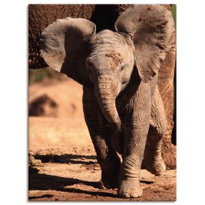 Artland Leinwandbild »Elefantenbaby«, Wildtiere, (1 St.), auf Keilrahmen... braun Größe