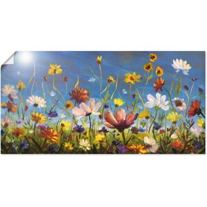 Artland Wandbild »Wildblumenwiese blauer Himmel«, Blumenwiese, (1 St.), als... bunt Größe