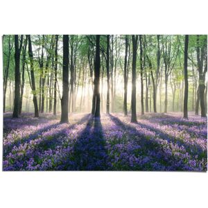 Reinders! Poster »Glockenblumen im Wald«, (1 St.) lila Größe