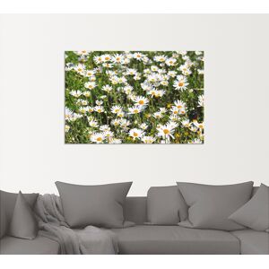 Artland Wandbild »Gänseblümchen«, Blumen, (1 St.), als Alubild, Outdoorbild,... weiss Größe