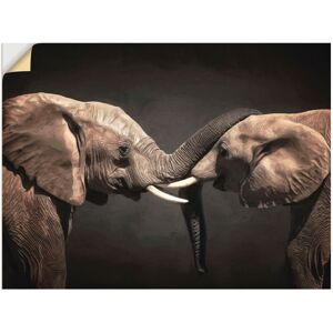 Artland Wandbild »Zwei Elefanten«, Wildtiere, (1 St.), als Leinwandbild,... schwarz Größe