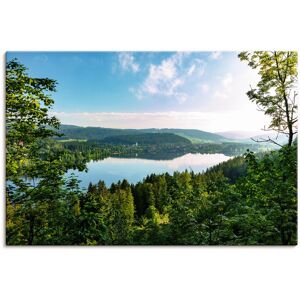 Artland Wandbild »Blick auf den Titisee im Schwarzwald«, Seebilder, (1 St.),... bunt Größe