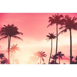 queence Acrylglasbild »Palmen im Sonnenuntergang« rot Größe