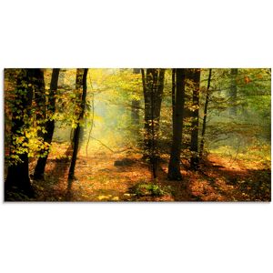 Artland Glasbild »Herbstlicht im Wald«, Wald, (1 St.), in verschiedenen Grössen grün Größe