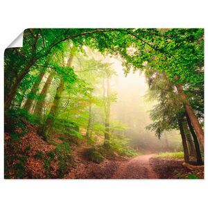 Artland Wandbild »Natürliche Torbögen durch Bäume«, Wald, (1 St.), als... grün Größe