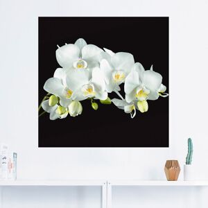 Artland Wandbild »Weisse Orchidee auf schwarzem Hintergrund«, Blumen, (1... weiss Größe