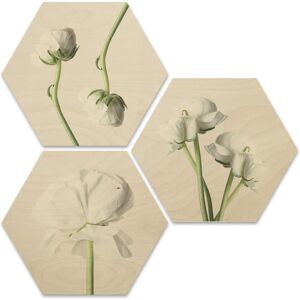 Wall-Art Mehrteilige Bilder »Maiglöckchen Blumen Collage«, Menschen, (Set, 3... mehrfarbig Größe