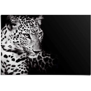 Reinders! Poster »Könige der Natur Leopard«, (1 St.) schwarz Größe