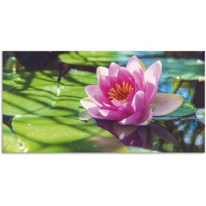 Artland Wandbild »Seerose Nahaufnahme«, Blumenbilder, (1 St.), als Alubild,... grün Größe