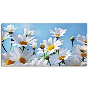 Artland Wandbild »Blumen - Margeriten«, Blumen, (1 St.), als Alubild,... weiss Größe