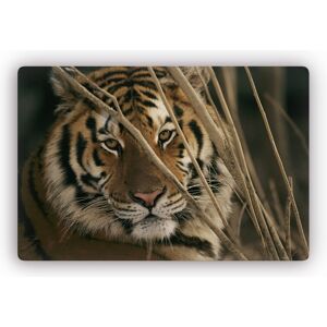 Wall-Art Glasbild »Tiger«, Glasposter modern braun Größe