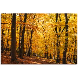 Artland Wandbild »Spaziergang im Herbstwald«, Wald, (1 St.), als Alubild,... goldfarben Größe