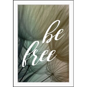 queence Bild »be free«, Sprüche & Texte, gerahmt, Pusteblume, Spruch grau Größe