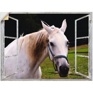 Artland Wandfolie »Fensterblick - weisses Pferd«, Haustiere, (1 St.),... weiss Größe
