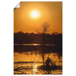 Artland Poster »Sonnenuntergang II«, Afrika, (1 St.), als Alubild,... orange Größe