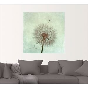 Artland Wandbild »Pusteblume II«, Blumen, (1 St.), als Leinwandbild, Poster,... grau Größe