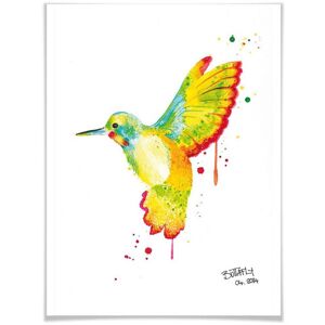 Wall-Art Poster »Kolibri«, Vögel, (1 St.), Poster ohne Bilderrahmen bunt Größe