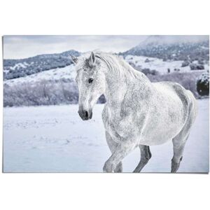 Reinders! Poster »Pferd im Schnee«, (1 St.) weiss Größe