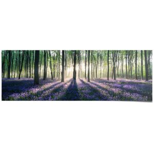 Reinders! Poster »Glockenblumen im Wald«, (1 St.) lila Größe